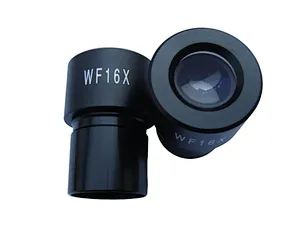 FOV13